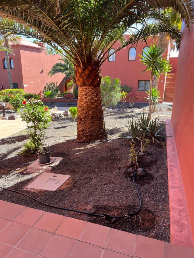 Ferienwohnung Casa Mimi Oasis Tamarindo Corralejo Exterior foto